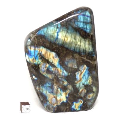 Labradorite Forme Libre 15379