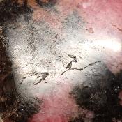 Rhodonite Forme Libre 15675