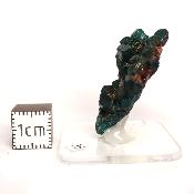 Dioptase Pierre Brute 15824