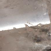 Cristal de Roche Pointe Polie 15866