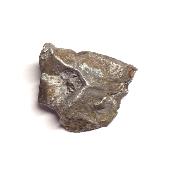 Météorite Sidérite Sikhote-Alin 15981
