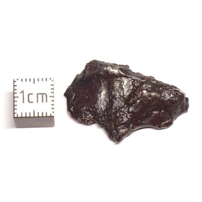 Météorite Sidérite Sikhote-Alin 15989