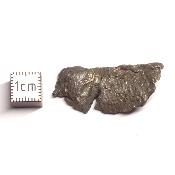 Météorite Sidérite Sikhote-Alin 15991