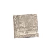 Météorite de Muonionalusta - plaque 2011