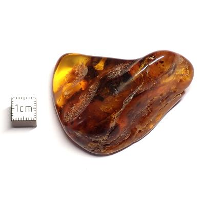 Ambre de la Baltique morceau poli 2035