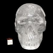 Cristal de Roche Crâne 2155