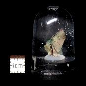 Opale d'Ethiopie Pierre Brute 2305