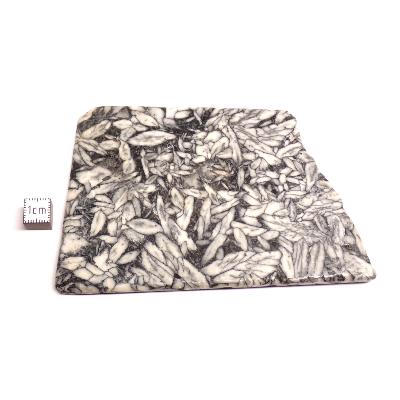 Pinolite Plaque 2334