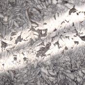 Pinolite Plaque 2337