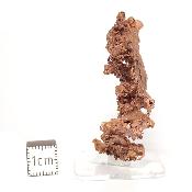 Cuivre Natif pierre brute 2579