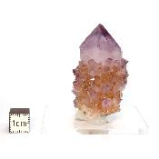 Cristal Cactus Brute 2733