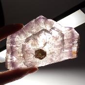 Auralite 23 Plaque 2758