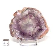 Auralite 23 Plaque 2761