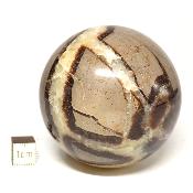 Septaria Boule 2831