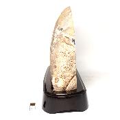 Agate Naturelle Géodes sur socle en bois 2891