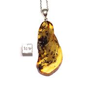 Ambre de la Baltique Pendentif 3089
