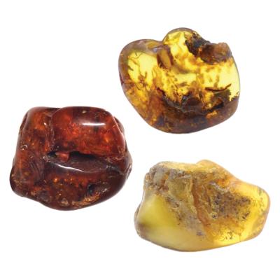 Ambre de la Baltique Pierre Roulée