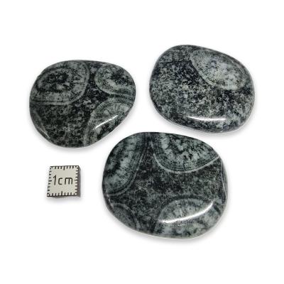 Diorites Orbiculaire Pierre Plate